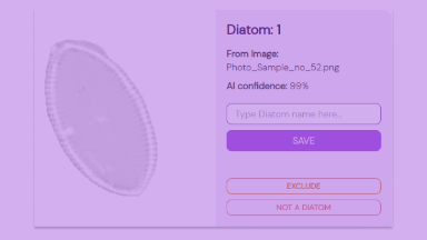 Diatomiq interface component for diatom identification
